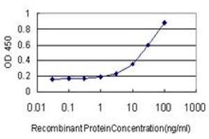 Detection limit for recombinant GST tagged MEF2A is approximately 1ng/ml as a capture antibody. (MEF2A 抗体  (AA 71-170))