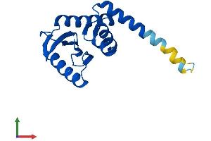 Protein Structure (PS) image for Adaptor-Related Protein Complex 1, sigma 2 Subunit (AP1S2) (AA 1-160) protein (His tag) (ABIN7561261)