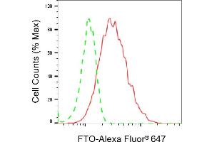 Flow cytometric analysis of FTO expression in HAP-1 cells using FTO antibody (ABIN7798581), 1:2,000). (Recombinant FTO 抗体)