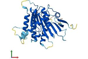 Protein Structure (PS) image for Elongator Acetyltransferase Complex Subunit 6 (ELP6) (AA 1-266) protein (His tag) (ABIN7558718)