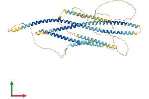 AlphaFold protein structure predicition of Human Recombinant GOLGA8M Protein, UniprotID H3BSY2 (GOLGA8M Protein (AA 1-632) (His tag))