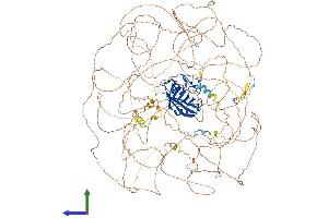 Protein Structure (PS) image for Natural Killer-Tumor Recognition Sequence (NKTR) (AA 1-1453) protein (His tag) (ABIN7563087)
