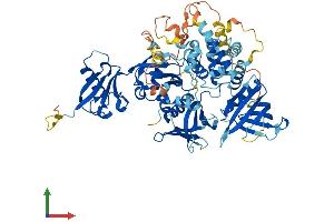 AlphaFold protein structure predicition of Human Recombinant FERMT2 Protein, UniprotID Q96AC1