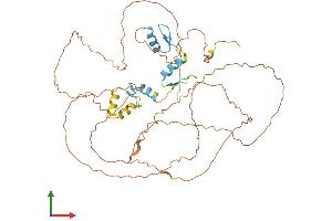Protein Structure (PS) image for Sp8 Transcription Factor (SP8) (AA 1-486) protein (His tag) (ABIN7558770)
