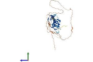 AlphaFold protein structure predicition of Human Recombinant TFAP2D Protein, UniprotID Q7Z6R9