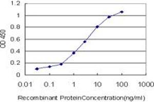 Image no. 3 for anti-Early Growth Response 1 (EGR1) (AA 444-544) antibody (ABIN466006) (EGR1 抗体  (AA 444-544))