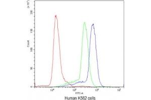 Flow Cytometry (FACS) image for anti-Cyclin D3 (CCND3) (AA 136-292) antibody (ABIN3030597)
