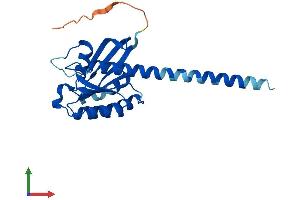 Protein Structure (PS) image for Ras-Like Without CAAX 2 (RIT2) (AA 1-217) protein (His tag) (ABIN7556719)