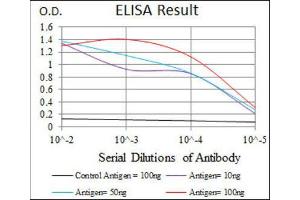 ELISA image for anti-Chemokine (C-C Motif) Ligand 2 (CCL2) antibody (ABIN1846382)