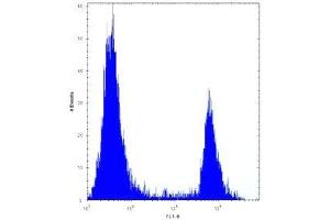 ANGPTL7 antibody flow cytometric analysis of 293 cells (right histogram) compared to a negative control (left histogram). (ANGPTL7 抗体  (AA 300-350))
