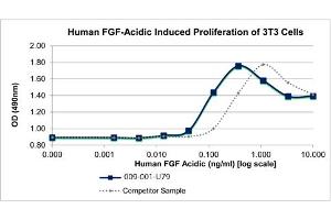 SDS-PAGE of Human Fibroblast Growth Factor acidic Recombinant Protein Bioactivity of Human Fibroblast Growth Factor acidic Recombinant Protein. (FGF acidic 蛋白)