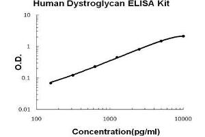 Human Dystroglycan PicoKine ELISA Kit standard curve (Dystroglycan ELISA 试剂盒)