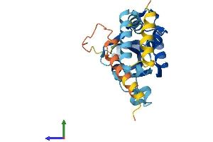 Protein Structure (PS) image for Lecithin Retinol Acyltransferase (Phosphatidylcholine--Retinol O-Acyltransferase) (LRAT) (AA 1-231) protein (His tag) (ABIN7561532)