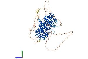 Protein Structure (PS) image for CDC14 Cell Division Cycle 14 Homolog A (CDC14A) (AA 1-603) protein (His tag) (ABIN7557915)