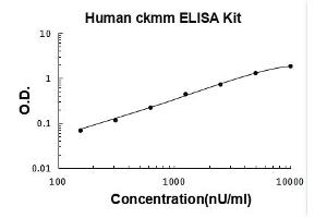 Creatine Kinase, Muscle (CKM) ELISA Kit