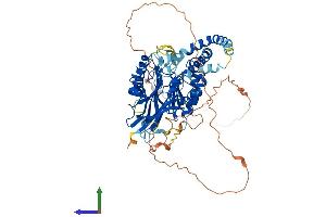 Protein Structure (PS) image for Sphingomyelin Phosphodiesterase 3 (SMPD3) (AA 1-655) protein (His tag) (ABIN7554809)