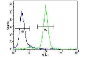 Acetylcholinesterase antibody flow cytometric analysis of human NCI-H460 cells (right histogram) compared to a negative control (left histogram). (Acetylcholinesterase 抗体  (AA 147-175))