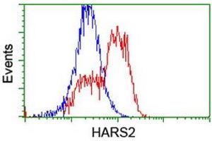 HEK293T cells transfected with either RC204925 overexpress plasmid (Red) or empty vector control plasmid (Blue) were immunostained by anti-HARS2 antibody (ABIN2455227), and then analyzed by flow cytometry. (HARS2 抗体)