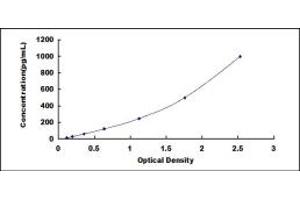 Typical standard curve (LGALS12 ELISA 试剂盒)