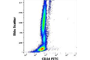 Flow cytometry surface staining pattern of human peripheral whole blood stained using anti-human CD34 (QBEnd-10) FITC antibody (20 μL reagent / 100 μL of peripheral whole blood). (CD34 抗体  (FITC))