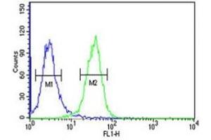 PGP antibody flow cytometric analysis of K562 cells (green) compared to a negative control (blue).
