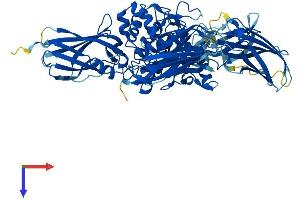 Transglutaminase 7 Protein (TGM7) (AA 1-710) (His tag)