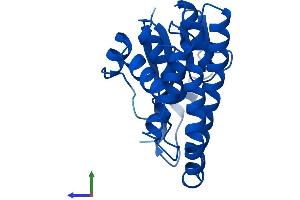 Protein Structure (PS) image for Glutathione S-Transferase mu 5 (GSTM5) (AA 1-218) protein (His tag) (ABIN7548188)