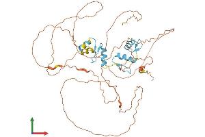 Protein Structure (PS) image for Sp8 Transcription Factor (SP8) (AA 1-490) protein (His tag) (ABIN7546222)
