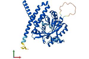 Protein Structure (PS) image for Lysophosphatidylglycerol Acyltransferase 1 (LPGAT1) (AA 1-370) protein (His tag) (ABIN7560124)