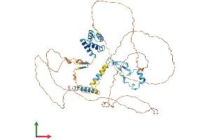 Protein Structure (PS) image for Mediator Complex Subunit 26 (MED26) (AA 1-600) protein (His tag) (ABIN7554551)