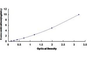 Typical standard curve (ARPC2 ELISA 试剂盒)