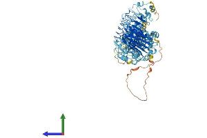 AlphaFold protein structure predicition of Mouse Recombinant Lrrc8b Protein, UniprotID Q5DU41