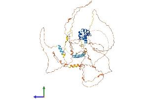 Protein Structure (PS) image for Sterile alpha Motif Domain Containing 11 (SAMD11) (AA 1-681) protein (His tag) (ABIN7545906)
