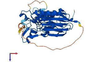 AlphaFold protein structure predicition of Mouse Recombinant Pptc7 Protein, UniprotID Q6NVE9