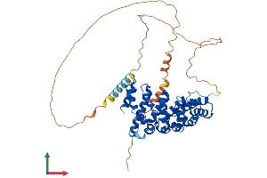 Protein Structure (PS) image for Armadillo Repeat Containing, X-Linked 1 (ARMCX1) (AA 1-456) protein (His tag) (ABIN7560706)