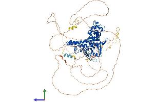 AlphaFold protein structure predicition of Human Recombinant EXO1 Protein, UniprotID Q9UQ84