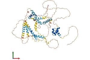 AlphaFold protein structure predicition of Mouse Recombinant Lcorl Protein, UniprotID Q3U285