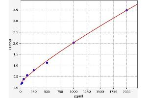 Typical standard curve (POLA2 ELISA 试剂盒)