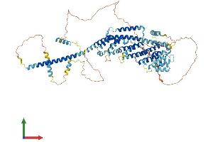 Protein Structure (PS) image for GC-Rich Sequence DNA-Binding Factor 2 (GCFC2) (AA 1-781) protein (His tag) (ABIN7553997)