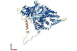 Protein Structure (PS) image for Chromosome 9 Open Reading Frame 3 (C9orf3) (AA 1-819) protein (His tag) (ABIN7552114)
