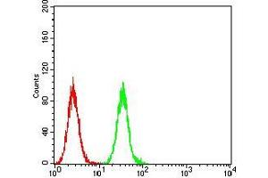 Flow cytometric analysis of Hela cells using PLCG2 mouse mAb (green) and negative control (red). (Phospholipase C gamma 2 抗体  (AA 826-985))