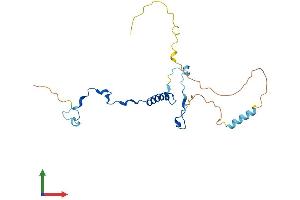 Protein Structure (PS) image for Polymerase (RNA) III (DNA Directed) Polypeptide G (32kD) (POLR3G) (AA 1-223) protein (His tag) (ABIN7564066)