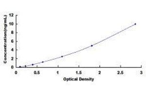 ELISA image for Angiotensin II Receptor, Type 2 (AGTR2) ELISA Kit (ABIN431856)
