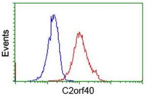 Image no. 2 for anti-Chromosome 2 Open Reading Frame 40 (C2orf40) antibody (ABIN1497047) (C2orf40 抗体)