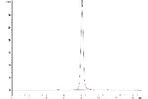 The purity of Biotinylated Human SIRP alpha V2/CD172a is greater than 95 % as determined by SEC-HPLC.