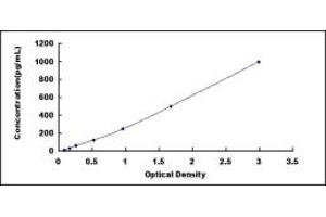 Typical standard curve (CPN1 ELISA 试剂盒)