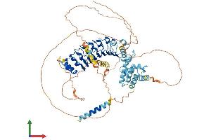 Protein Structure (PS) image for Leucine-Rich Repeats and Calponin Homology (CH) Domain Containing 4 (LRCH4) (AA 1-683) protein (His tag) (ABIN7549210)