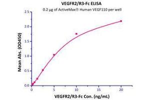 Immobilized  Human VEGF110 (Cat# VE0-H5212) at 2 μg/mL (100 μL/well) can bind VEGFR2 / R3-Fc with a linear range of 0. (VEGF110 (AA 27-136) (Active) 蛋白)