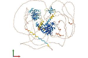 Protein Structure (PS) image for Asparagine-Linked Glycosylation 13 Homolog (ALG13) (AA 1-1137) protein (His tag) (ABIN7552178)