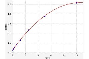 Typical standard curve (METRNL ELISA 试剂盒)